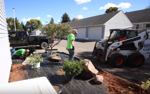 landscaping for garden