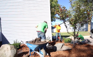 landscaping gardener